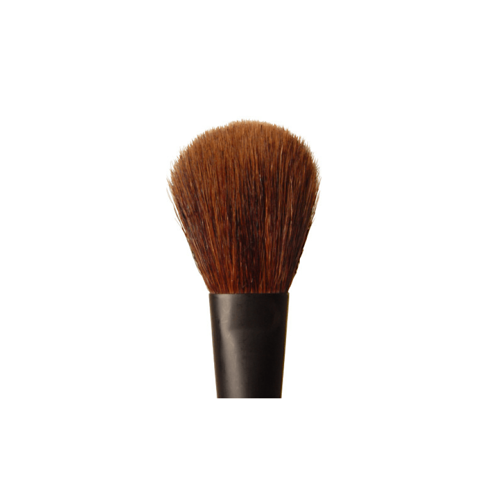 CALLAS Blusher & Powder Brush (CMB02)