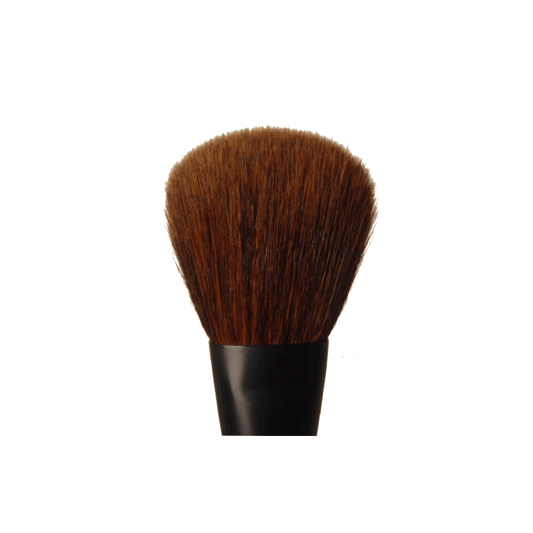 CALLAS Powder Brush (CMB01)